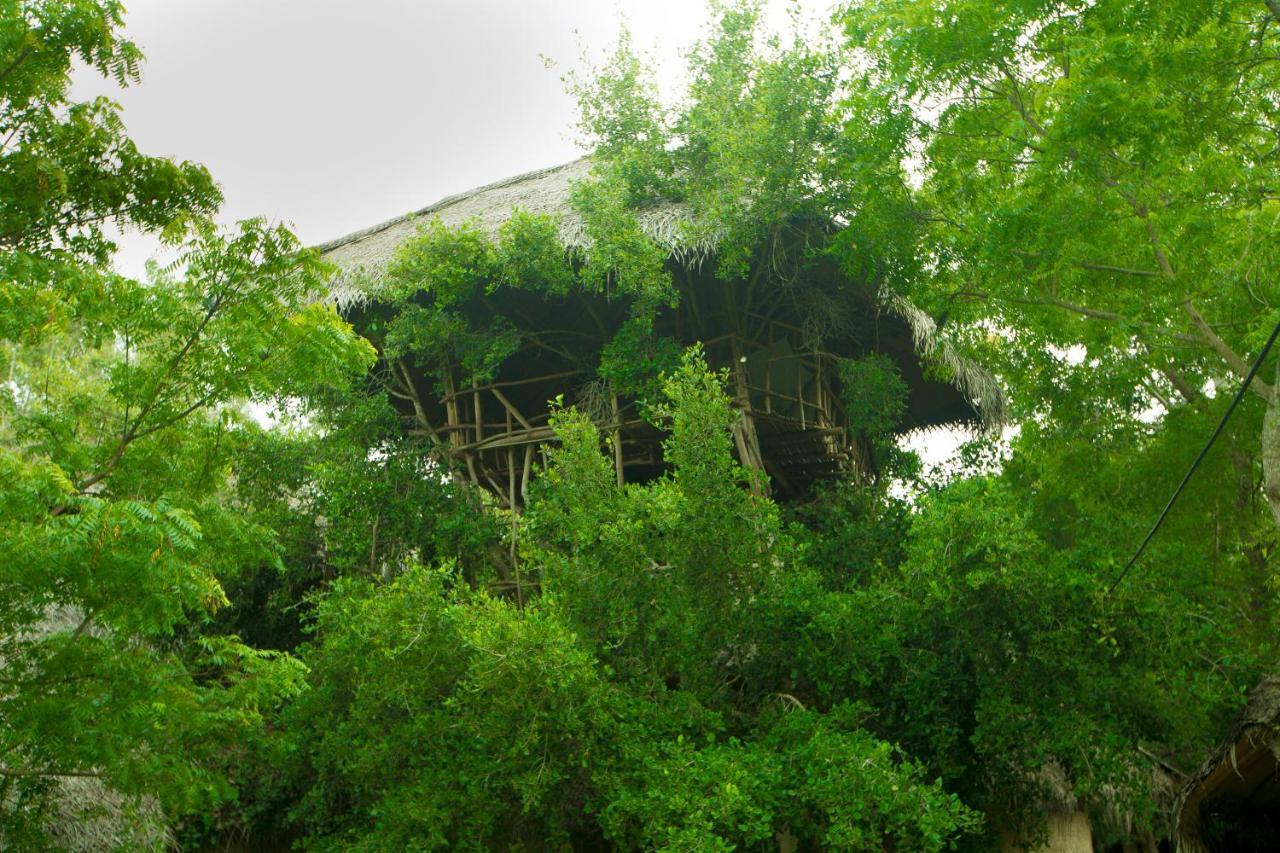 The Saraii Tree Lodge Tissamaharama Exterior foto
